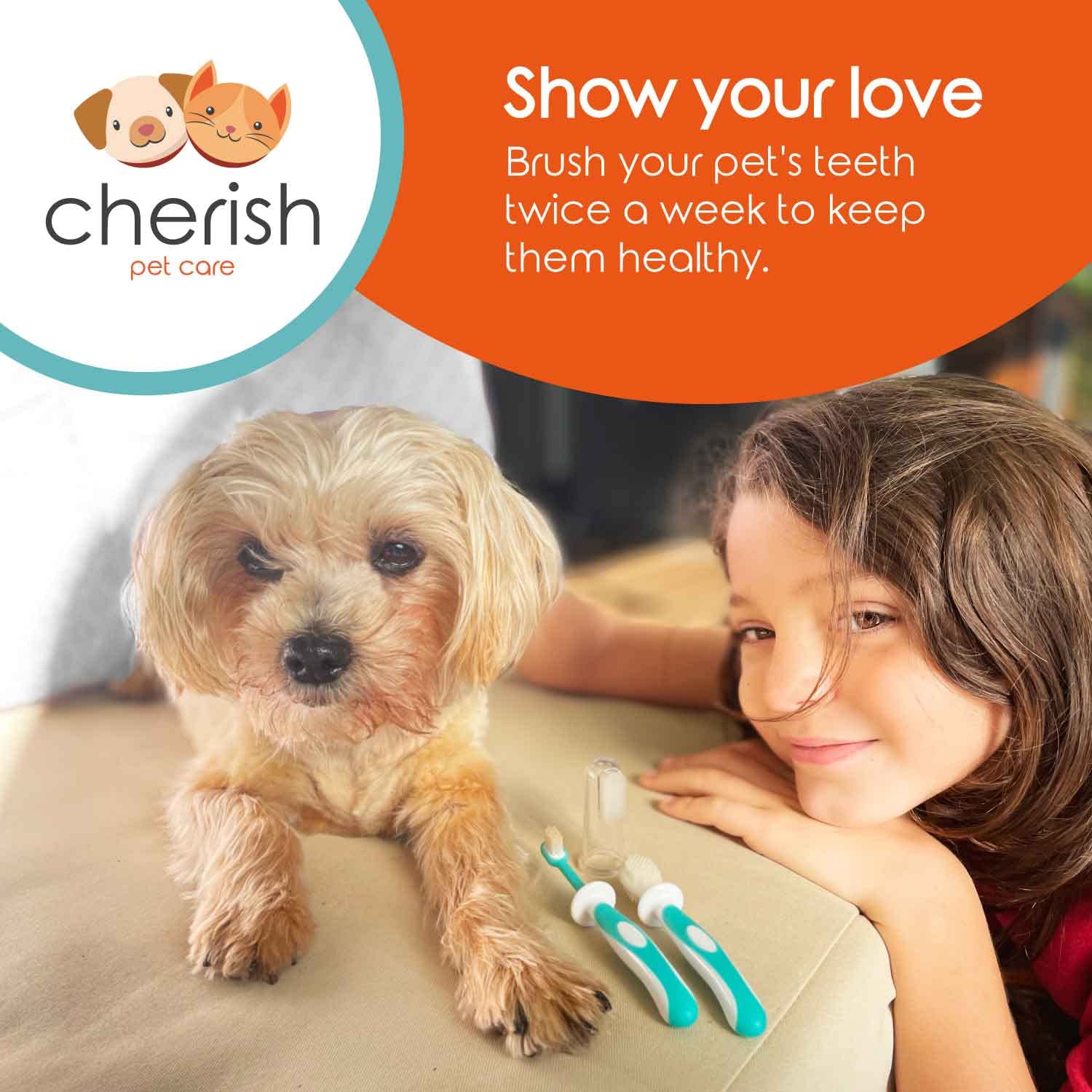 Cherish Pet Care Dog Tooth Brushing Kit (3pcs) - Dog Finger Toothbrush, Double-Sided Toothbrush, Small Dog Toothbrush, Dog Teeth Cleaning, Puppy Tooth Brushing Kit, Small Dog Tooth Brushing Kit