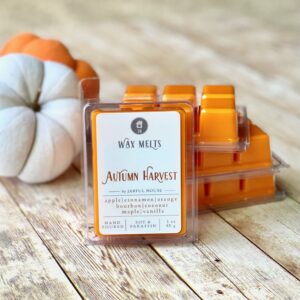 Jarful House Strong Scented Wax Melts Autumn Harvest, Natural Coconut Wax Tarts Cubes Apple Cinnamon Orange Bourbon Maple, Stocking Stuffer Gift