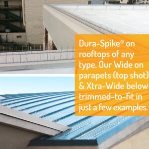 Bird Barrier Dura-Spike Stainless Steel Bird Spikes | Metal Pin Strips for Ledge, Roof, Pipe - Adhesive Included - Xtra Wide (8 in) 10 Ft. Length