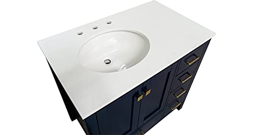 Horizon 36-inch Bathroom Vanity (Engineered White/Royal Blue): Includes Royal Blue Cabinet with Engineered White Countertop and White Ceramic Sink