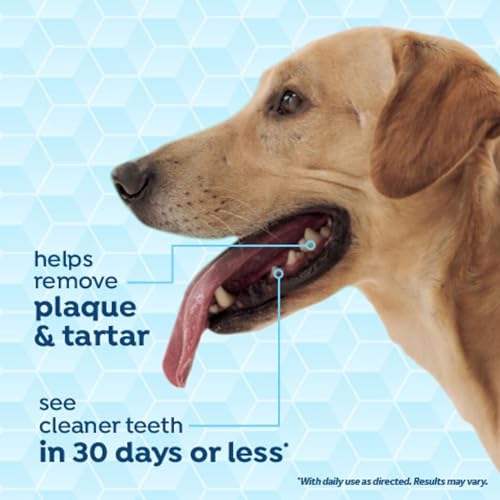 Fresh Breath Certified Wellness Collection Vet Recommended Peanut Butter Oral Care Clean Teeth Gel for Dogs | Removes Plaque & Tartar | Cleans Teeth | Dog Dental Care | No Brushing Required | 2 oz