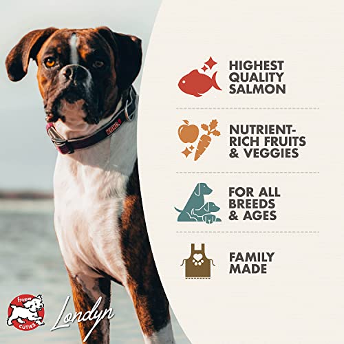 Fromm Four-Star Nutritionals Salmon A La Veg Dog Food - Premium Dry Dog Food - Salmon Recipe - 4 lb