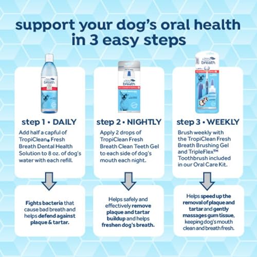 Fresh Breath Certified Wellness Collection Vet Recommended Peanut Butter Oral Care Clean Teeth Gel for Dogs | Removes Plaque & Tartar | Cleans Teeth | Dog Dental Care | No Brushing Required | 2 oz