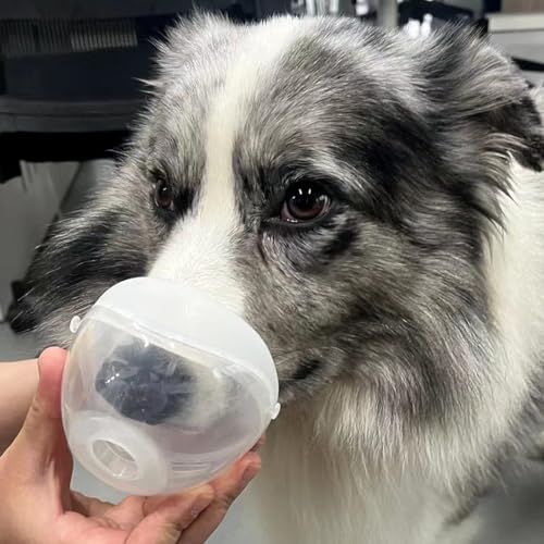 Pet Aerosol Chamber for Cats and Dogs - Larger Mask to Cover Snout and Mouth Which Make Pets Clam and Comfortablely - Specially Designed for Pets (S - Cats & Puppy)