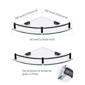 WAKLOND Bathroom Shelves, 2-Tier Glass Corner Shelf Wall Mounted,Corner Shower Shelf Tempered Glass Shelf for Storing Seasoning Bottle/Brush/Shower Gel/Soap/Shampoo (Silver-2) (Black)