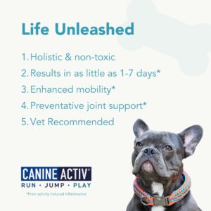 CANINE ACTIV Dog Joint Pain Relief Activity-Induced Capsules, Dog Joint Supplement Small Breed, Hip and Joint Supplement for Dogs, Dog Joint Pills for Fast Relief from Activity-Induced Pain - 90 Ct