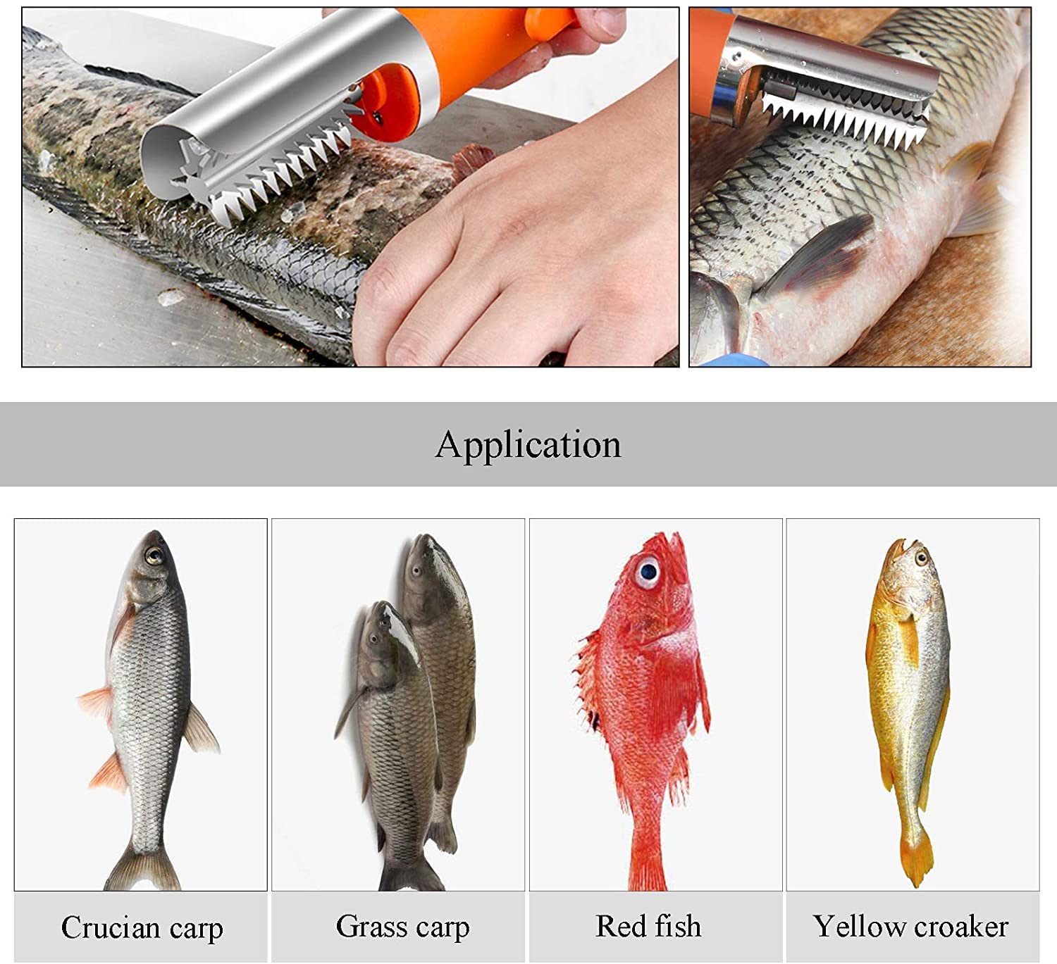 Powerful Electric Fish Scraper Cordless Fish Scaler Cleaner Automatic Fish Scale Remover with a Manual Scaler (2 Batteries)