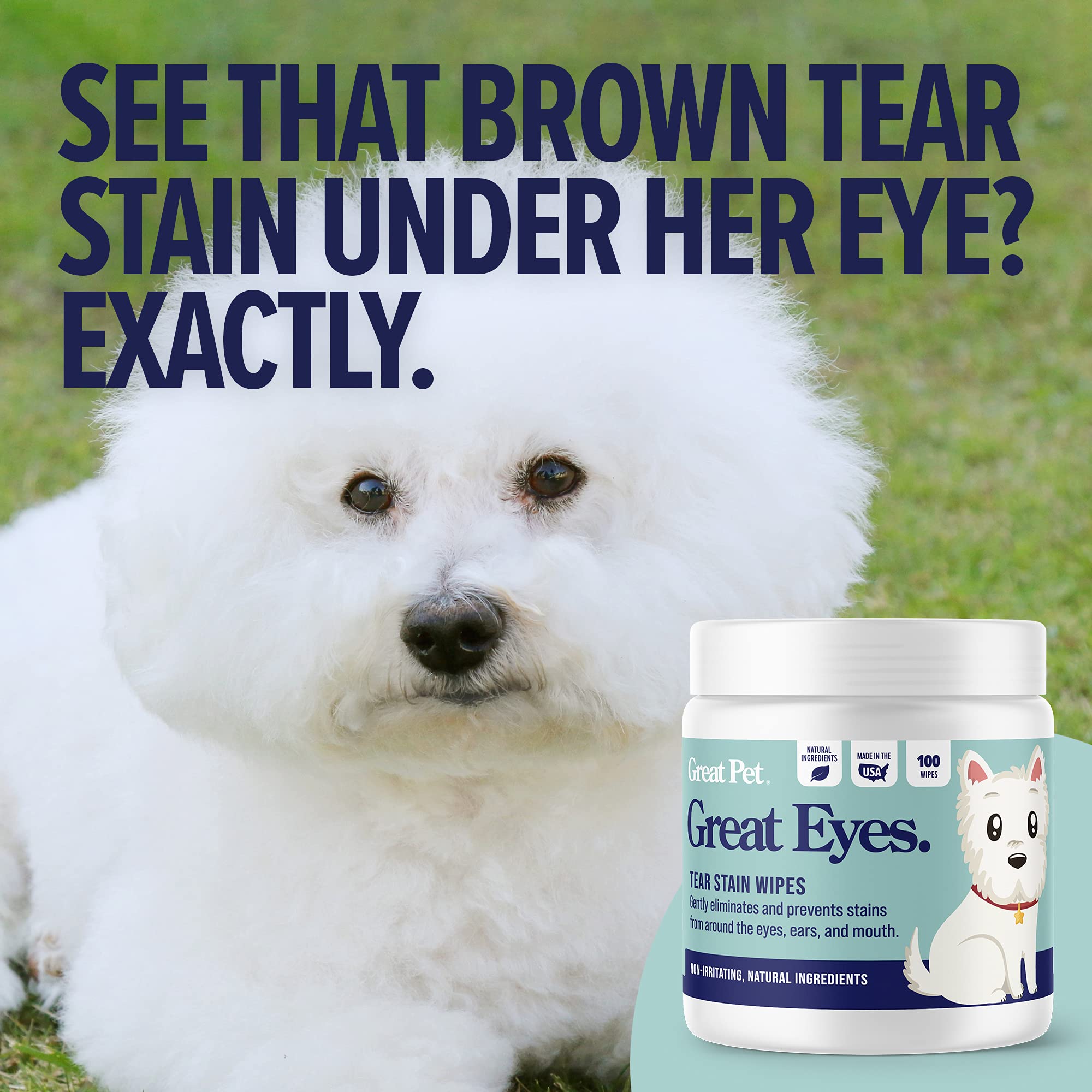 Great Pets - Great Eyes - Safe & Gentle Tear Stain Remover for Dogs - Natural Eye Wipes for Dogs - Made in The USA & Easy to Use Pre-Soaked Wipes - 100 Wipes