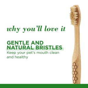 Burt's Bees for Pets Bamboo Bristle Dog Toothbrush - Naturally Derived Dog Toothbrush Made from Bamboo - BPA Free, Ergonomic Handle Toothbrush for Dogs, Bamboo Dog Toothbrush