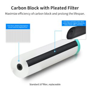 FS-TFC Pleated and CTO Carbon Composite Water Filter 0.2 Micron 10"x2.5" Replacement Cartridge Universal Whole House