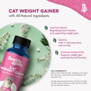 Cat Weight Gain & Hyperthyroidism Treatment - Safe and Effective Cat Appetite Stimulant, Thyroid and Metabolic Support, and Cat Weight Management Remedy - 400 All-Natural Odorless, Tasteless Pills