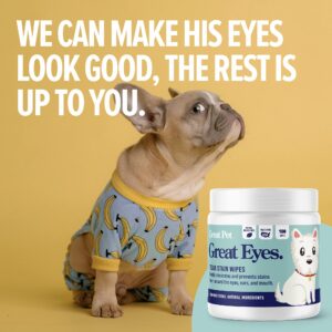 Great Pets - Great Eyes - Safe & Gentle Tear Stain Remover for Dogs - Natural Eye Wipes for Dogs - Made in The USA & Easy to Use Pre-Soaked Wipes - 100 Wipes