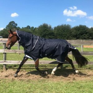 horseware of ireland amigo bravo 12 plus turnout sheet (navy/plum/silver, 75), (aarpk0)