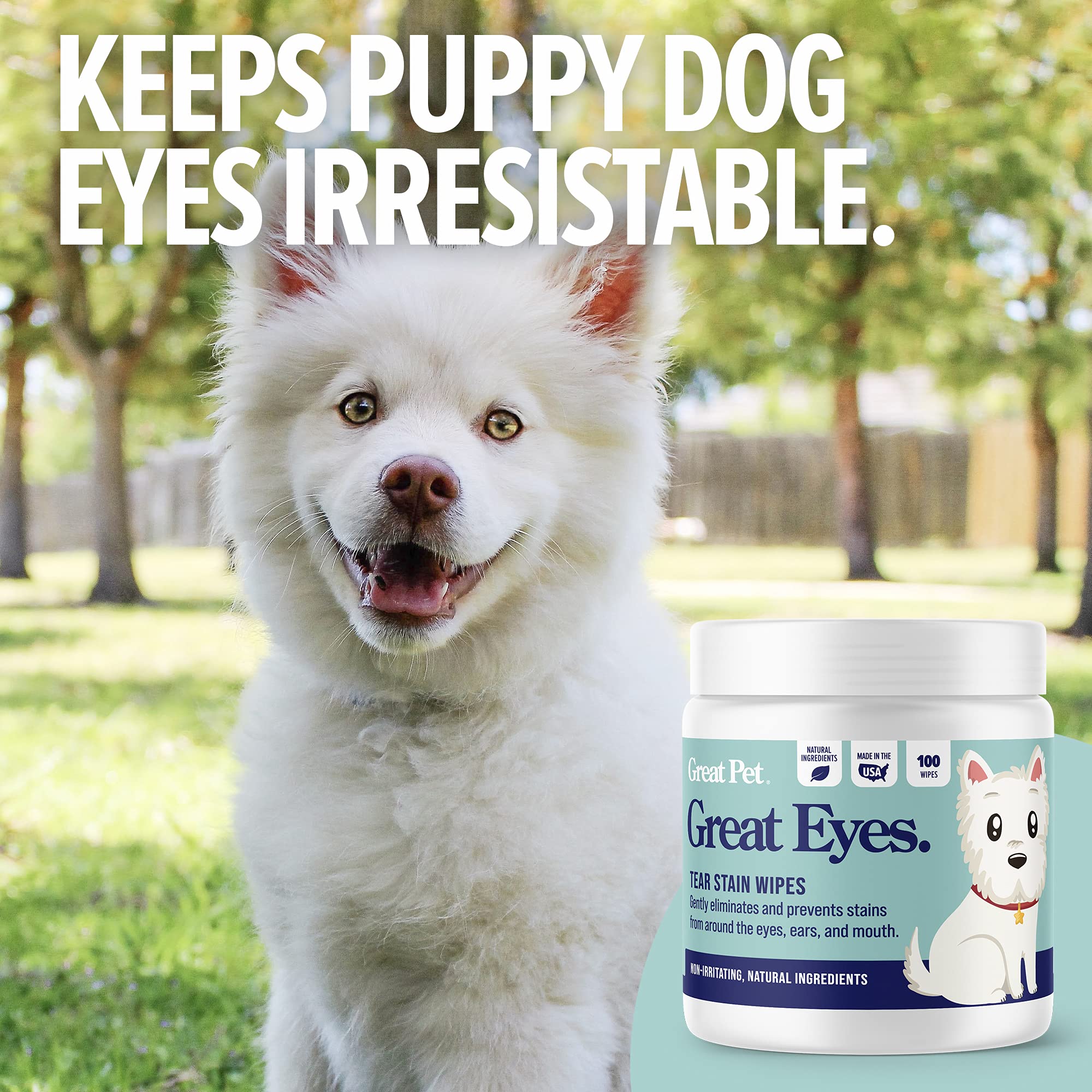 Great Pets - Great Eyes - Safe & Gentle Tear Stain Remover for Dogs - Natural Eye Wipes for Dogs - Made in The USA & Easy to Use Pre-Soaked Wipes - 100 Wipes