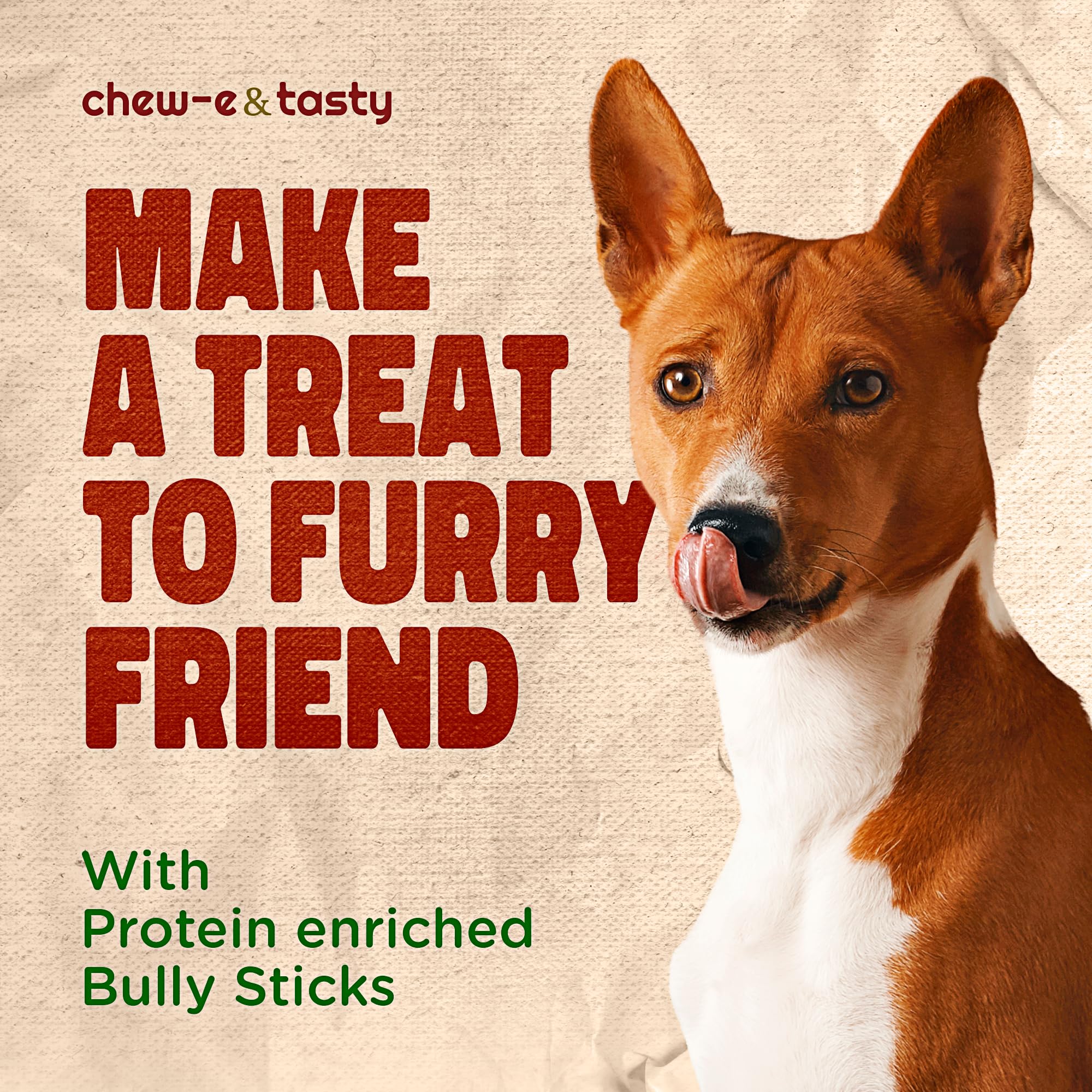 chew-e&tasty 12 Inch Bully Sticks for Large Dogs (5pk) - Natural & Odor Free Bully Sticks - Made of Fully Digestible High Protein & Low Fats Jumbo Bully Sticks for Large Dogs