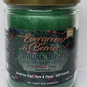 Smoke Odor Exterminator 13oz Jar Candle,Evergreen & Berries, (1) Candle.