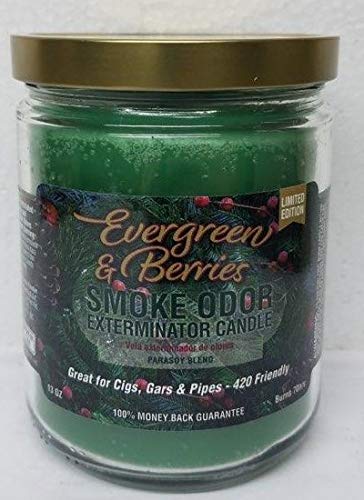 Smoke Odor Exterminator 13oz Jar Candle,Evergreen & Berries, (1) Candle.