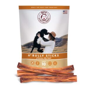 bff bully sticks 6 inch (10 count) - long lasting dog treats - natural no-hide grain-free gluten-free dog chews - low odor bully sticks - thick bully sticks for small and medium dogs