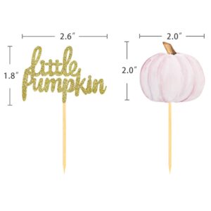 Little Pumpkin Cupcake Toppers, Thanksgiving Birthday Baby Shower Fall Theme Party Decorations Gender Reveal Supplies - Set of 24 (pink)