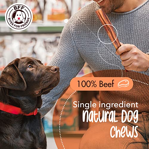 BFF Bully Sticks 6 inch (10 Count) - Long Lasting Dog Treats - Natural No-Hide Grain-Free Gluten-Free Dog Chews - Low Odor Bully Sticks - Thick Bully Sticks for Small and Medium Dogs