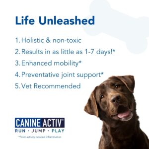 CANINE ACTIV - Dog Joint Pain Relief Activity-Induced Capsules, Dog Joint Supplement Large Breed, Hip and Joint Supplement, Dog Joint Pills for Fast Relief from Activity-Induced Pain - 90 Ct