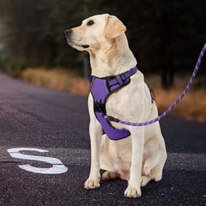 IVY&LANE No Pull Dog Harness for Small Dogs, Dog Vest Harness with Leash, Safety Belt and Storage Strap, Fully Adjustable Harness, 360° Reflective Strip, Soft Handle (Purple, S)