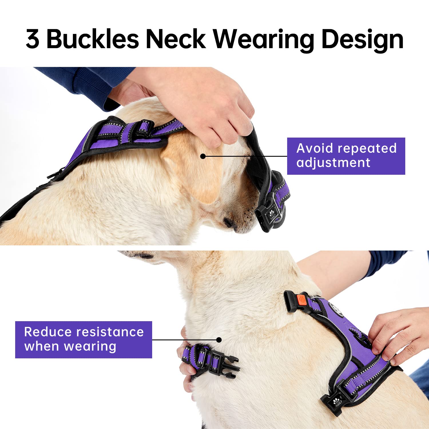 IVY&LANE No Pull Dog Harness for Small Dogs, Dog Vest Harness with Leash, Safety Belt and Storage Strap, Fully Adjustable Harness, 360° Reflective Strip, Soft Handle (Purple, S)