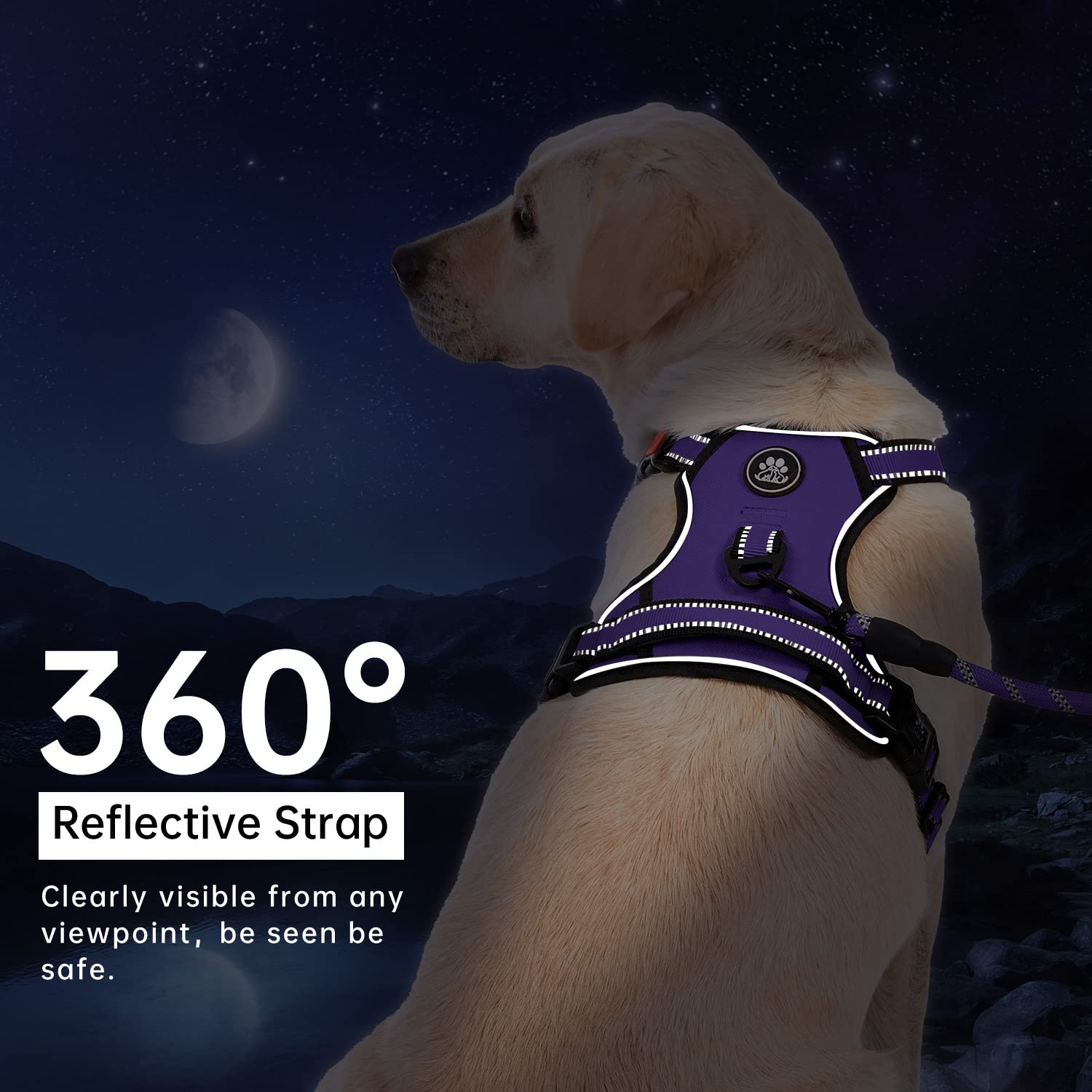 IVY&LANE No Pull Dog Harness for Small Dogs, Dog Vest Harness with Leash, Safety Belt and Storage Strap, Fully Adjustable Harness, 360° Reflective Strip, Soft Handle (Purple, S)