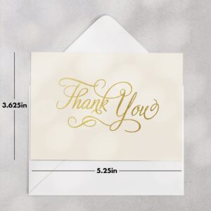 Designer Greetings Bulk Blank Thank You Cards for Any Occasion, Gold Foil Embossed Script (50 Foil-Embossed Thank-You Notes and Envelopes), White, (000-06919-001)