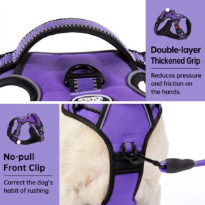 IVY&LANE No Pull Dog Harness for Small Dogs, Dog Vest Harness with Leash, Safety Belt and Storage Strap, Fully Adjustable Harness, 360° Reflective Strip, Soft Handle (Purple, S)