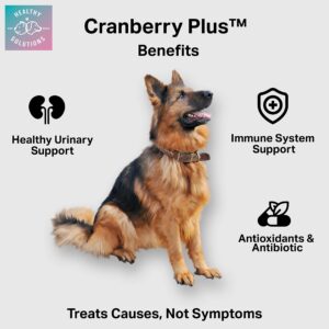 Cranberry Chews for Dogs - UTI, Bladder, Kidney, & Urinary Tract Support - Dog Health Supplements Contain Cranberry Extract, Echinacea, Vitamin C, and Astragalus Root - 60 Soft Treats