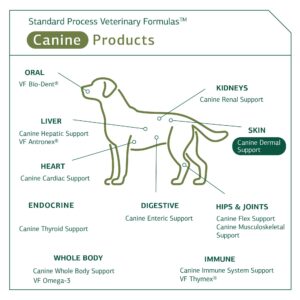 Standard Process Canine Dermal Support - Skin & Adrenal Gland Support Supplement - Comprehensive Skin Health Support Supplement for Dogs - Daily Immune & Liver Support Powder - 125 g