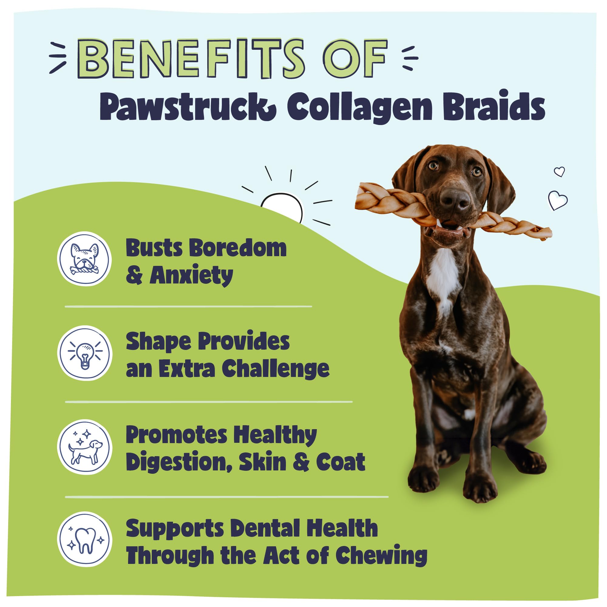 Pawstruck Natural Large 10-13” Beef Collagen Braids for Dogs - Healthy Long Lasting Alternative to Traditional Rawhide & Bully Sticks w/Chondroitin & Glucosamine - 3 Count - Packaging May Vary