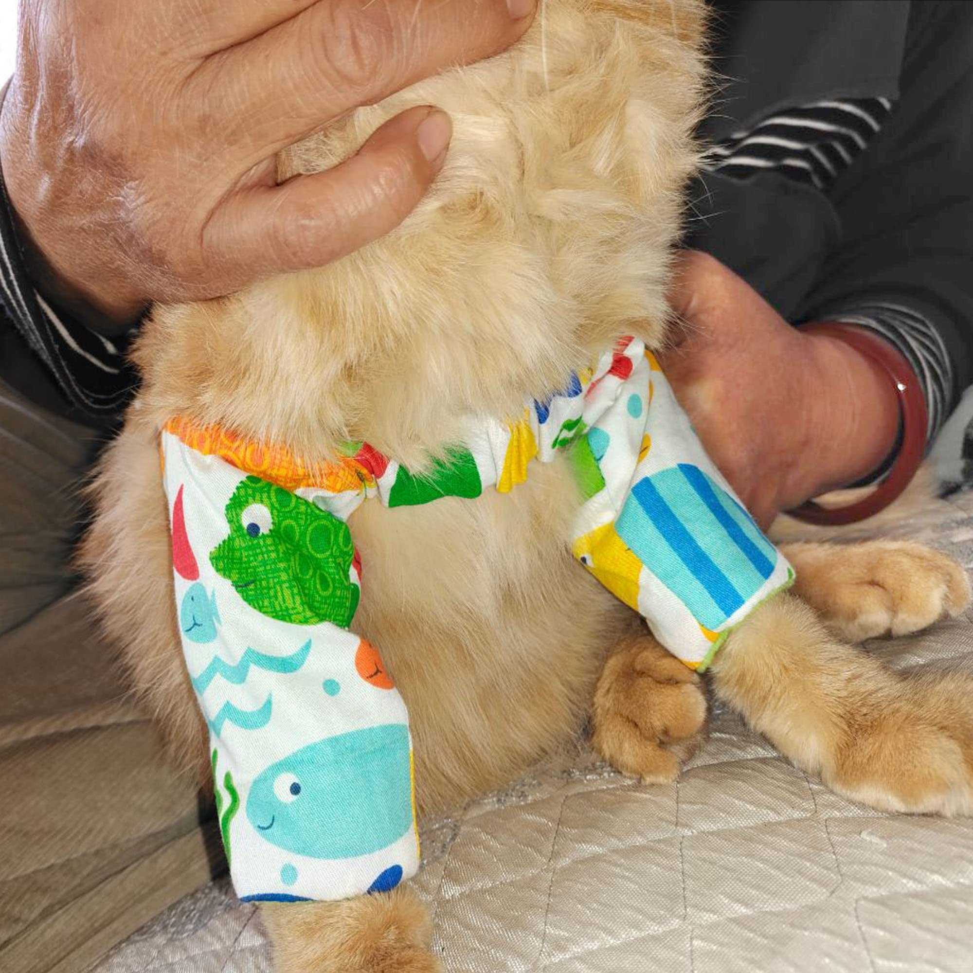 Cat Overgrooming Sleeve with Shoulder Strap Alternative Cone Collar for Cat Front Leg Protector Suffers from Anxiety and Over Grooming