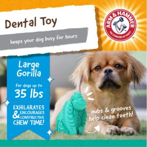 Arm & Hammer for Pets Dental Chew Toy and Dentral Treats for Dogs | Bundle Includes 1 Gorilla Chew Toy and 20 Pc Chicken Flavor Nubbies Dog Treats | Reduce Plaque & Tartar | Safe for Dogs up to 35 Lbs