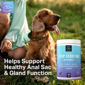 Dog Fiber Soft Chews Supplement - Stop Scooting Digestive Formula Enhanced with Pumpkin, Psyllium Husk, & Beet Pulp - Supports Dogs Healthy Anal Gland, Stool & Constipation - Made in USA, 120 ct