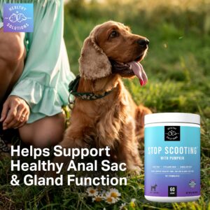 Dog Fiber Soft Chews Supplement - Stop Scooting Digestive Formula Enhanced with Pumpkin, Psyllium Husk, & Beet Pulp - Supports Dogs Healthy Anal Gland, Stool & Constipation - Made in USA, 60 ct