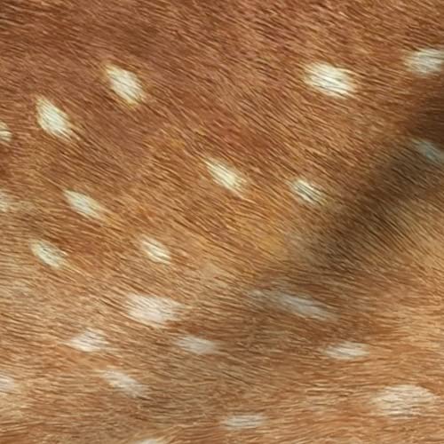 Spoonflower Fabric - Soft Deer Hide Spring Fawn Railroad Skin Animal Willow Printed on Minky Fabric by The Yard - Sewing Baby Blankets Quilt Backing Plush