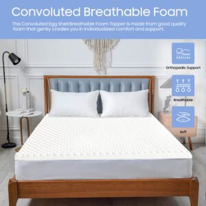 Greaton Breathable 1-inch Convoluted Egg Shell Foam Mattress Topper | Toppers for Mattresses Adds Ultimate Comfort, Reduces Back Pain, Perfect Body Support, Maintain Proper Posture, Queen, White