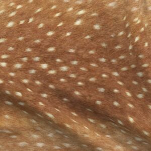 Spoonflower Fabric - Soft Deer Hide Spring Fawn Railroad Skin Animal Willow Printed on Minky Fabric by The Yard - Sewing Baby Blankets Quilt Backing Plush