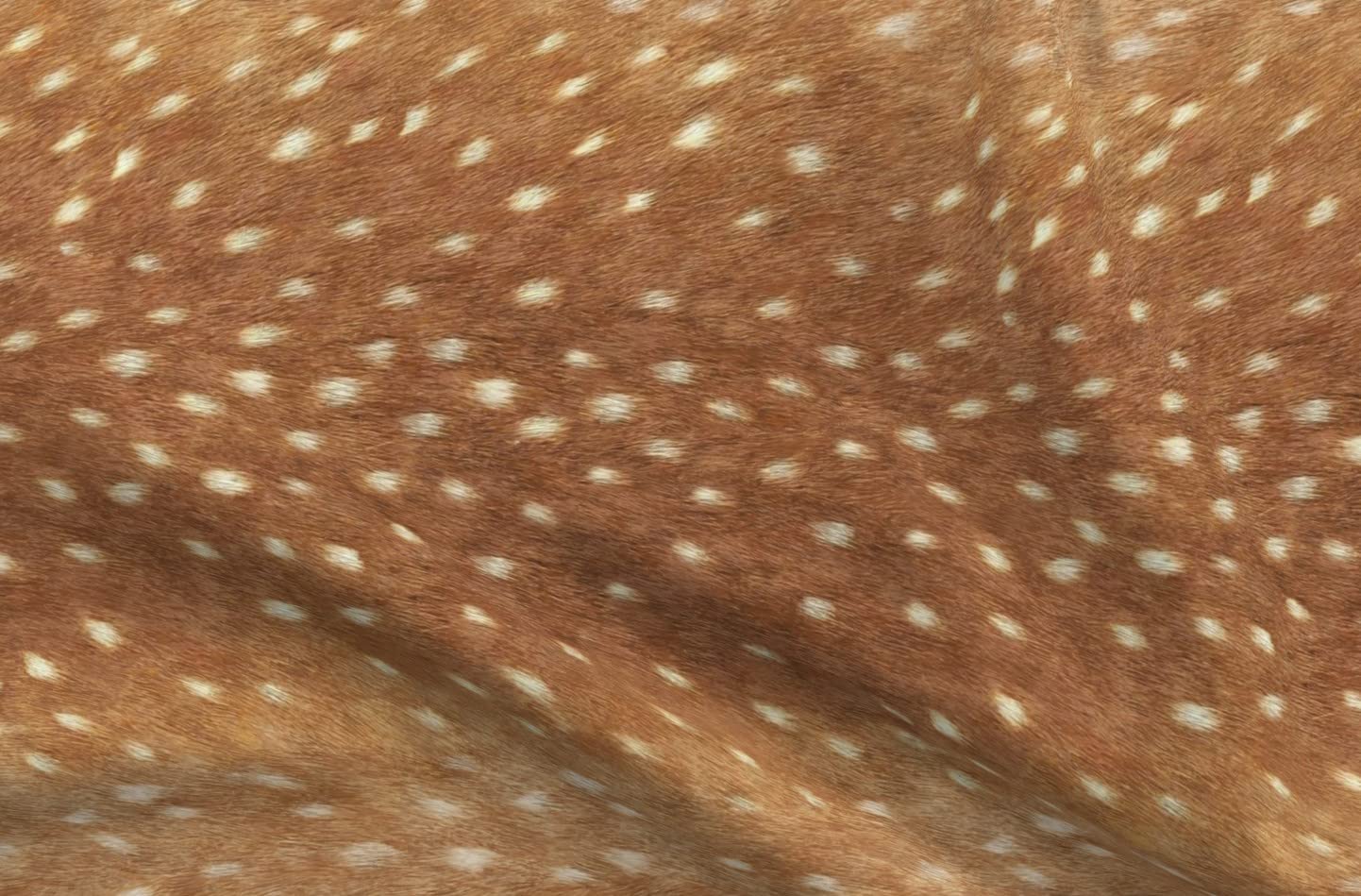 Spoonflower Fabric - Soft Deer Hide Spring Fawn Railroad Skin Animal Willow Printed on Minky Fabric by The Yard - Sewing Baby Blankets Quilt Backing Plush