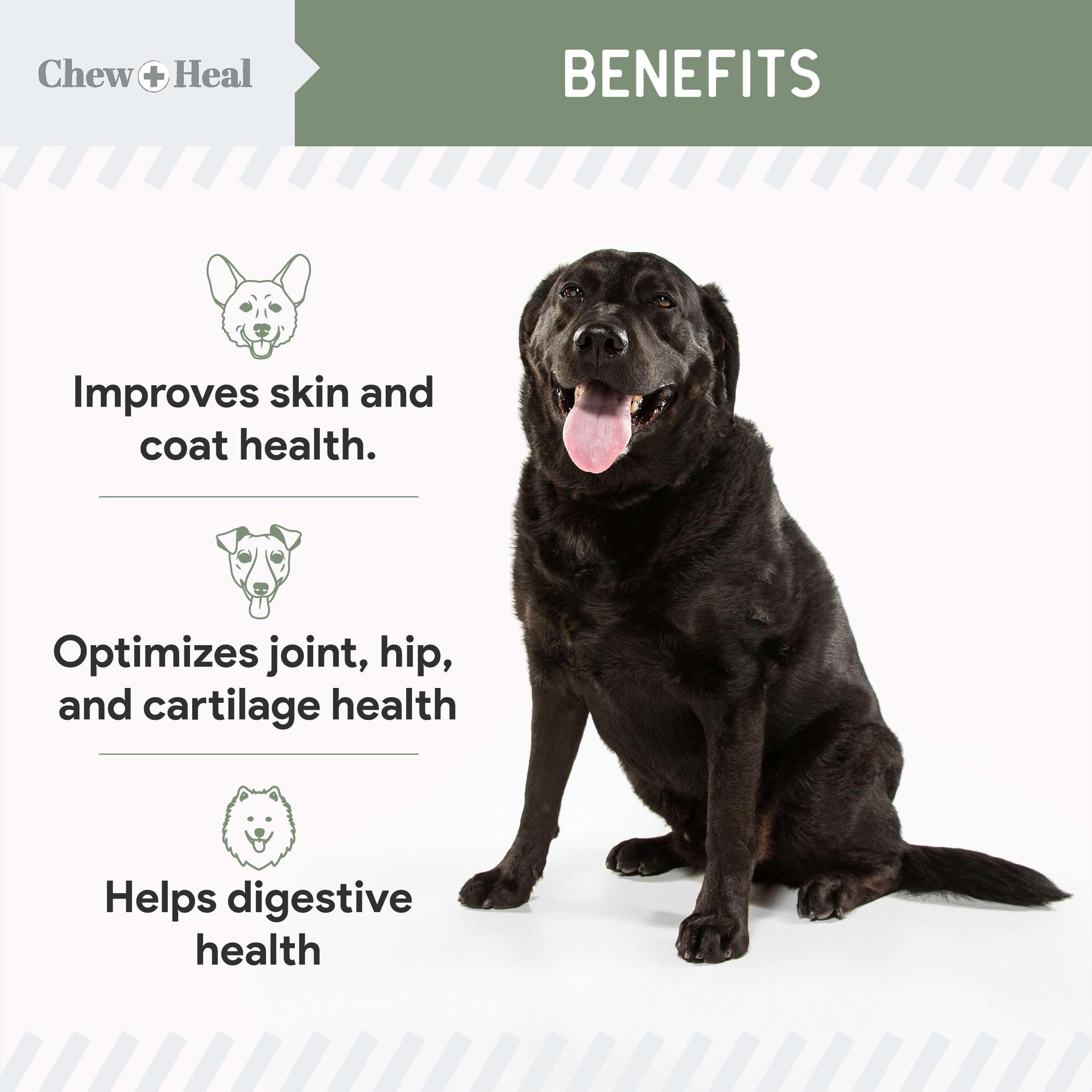 Chew + Heal All in 1 Dog Vitamin - 60 Soft Chew Treats - Chewable Multivitamin with Probiotics, Digestive Enzymes, for Skin and Coat, Hip and Joint Support - with Omega, Calcium - Made in The USA