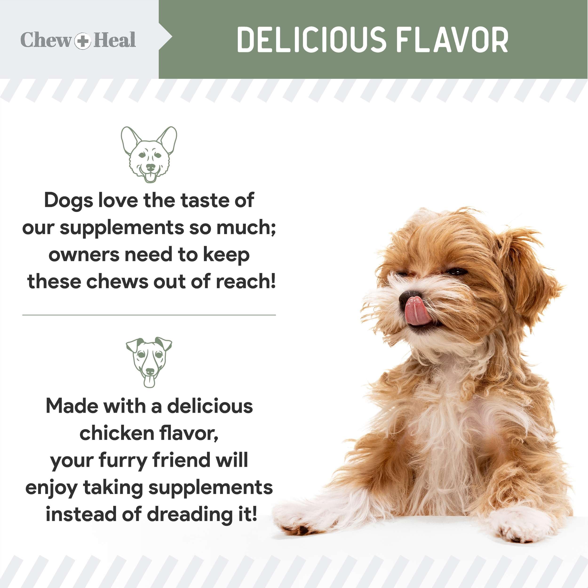 Chew + Heal All in 1 Dog Vitamin - 60 Soft Chew Treats - Chewable Multivitamin with Probiotics, Digestive Enzymes, for Skin and Coat, Hip and Joint Support - with Omega, Calcium - Made in The USA