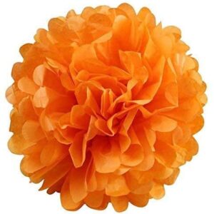 IGUO Teal Orange Wedding Party Decorations Orange Silver Autumn Party Baby Shower Carnivals Graduation Supplies Tissue Pom Pom,Teal Silver Orange Paper Tassel for Beautiful Nigerian Wedding Party Idea