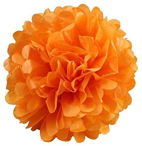 IGUO Teal Orange Wedding Party Decorations Orange Silver Autumn Party Baby Shower Carnivals Graduation Supplies Tissue Pom Pom,Teal Silver Orange Paper Tassel for Beautiful Nigerian Wedding Party Idea