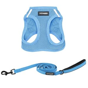 voyager step-in air all weather mesh harness and reflective dog 5 ft leash combo with neoprene handle, for small, medium and large breed puppies by best pet supplies - set (baby blue), m