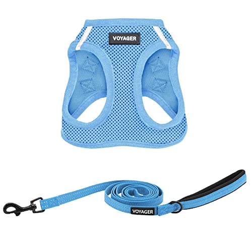 Voyager Step-in Air All Weather Mesh Harness and Reflective Dog 5 ft Leash Combo with Neoprene Handle, for Small, Medium and Large Breed Puppies by Best Pet Supplies - Set (Baby Blue), M