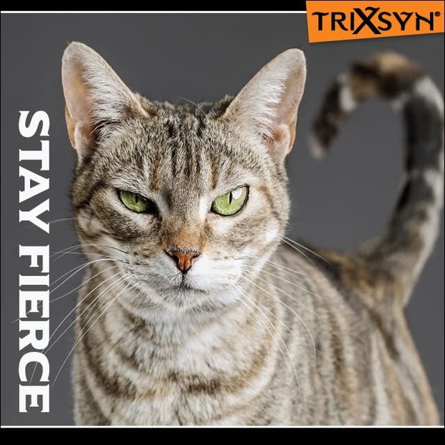 TRIXSYN Feline - Naturally Alleviate Discomfort, Promote Healthy Joints, Support Mobility and Cartilage Function for Cats 2-Pack 60 Day Supply