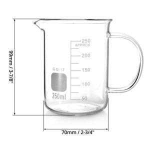 QWORK Beaker with Handle, 250ml/8.45oz, Measuring Cup, Borosilicate Glass, Beaker Mug with Pouring Spout, 2 Pack