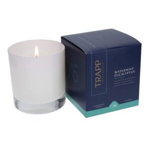 Trapp - No. 76 Watermint Eucalyptus - 7 oz. Signature Candle - Aromatic Home Fragrance with Fresh Scent of European Watermint, Fresh Eucalyptus, & Indian Sandalwood Notes - Petrolatum Wax